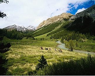 暴雪表示《守望先锋2》不会包含“运载目标”版花村